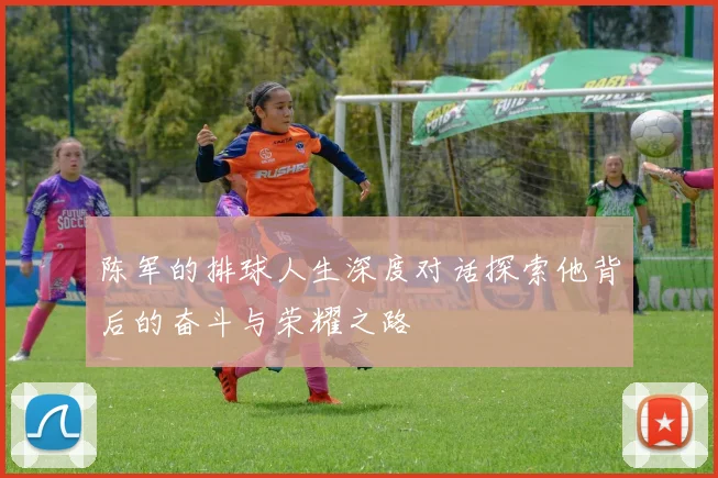 陈军的排球人生深度对话探索他背后的奋斗与荣耀之路